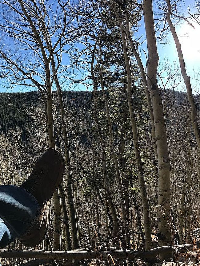 Photo of 0 Loch Lomond Rd Lot 67, Idaho Springs, CO