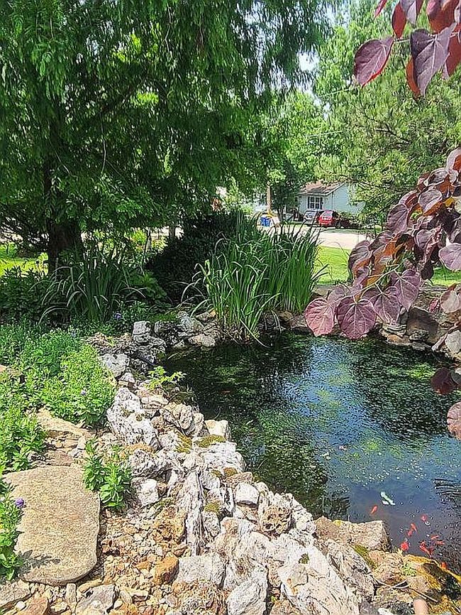 Photo of 205 Bogy St, De Soto, MO