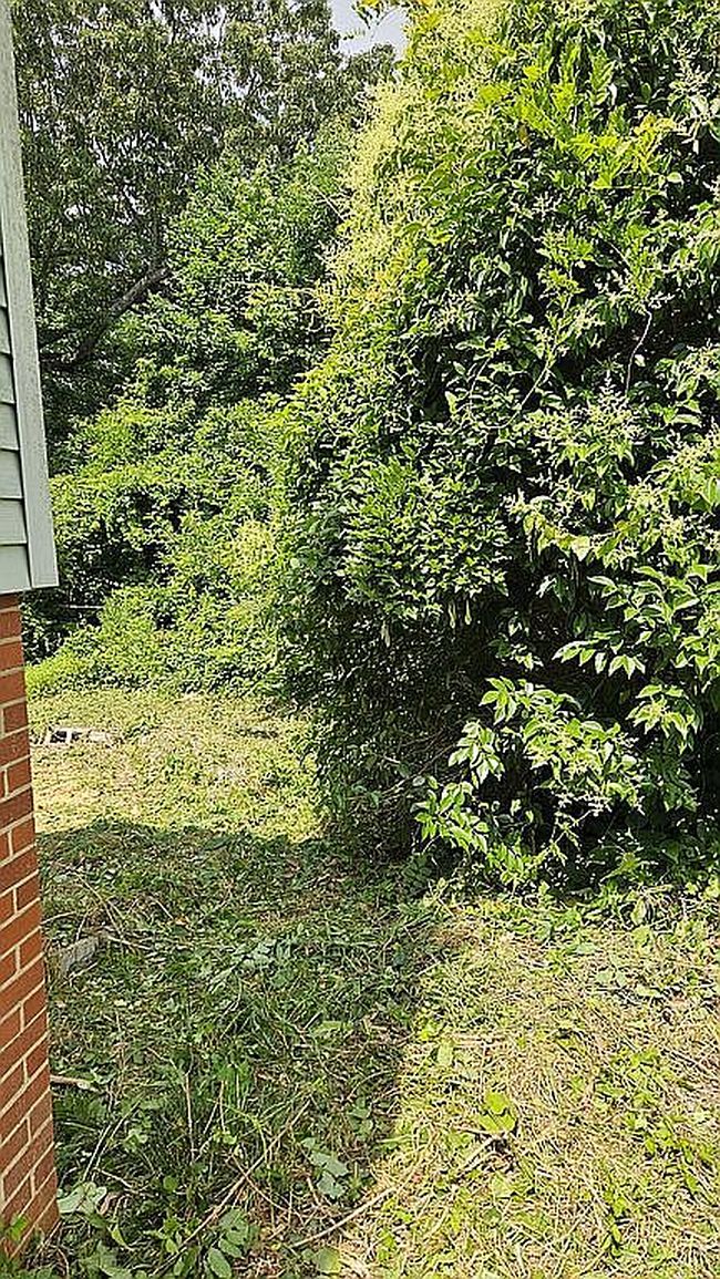 Image of 127 N Randolph Ave
