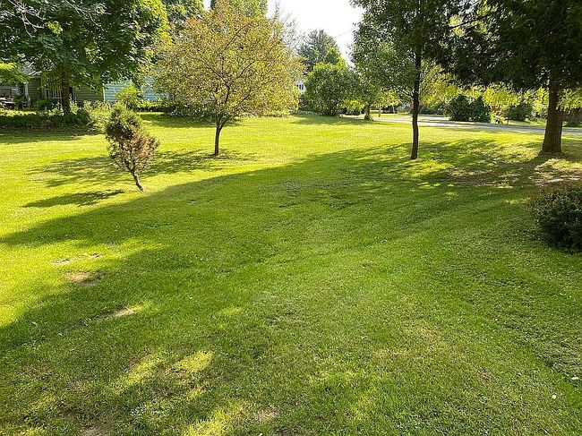 Image of 125 Leroy St