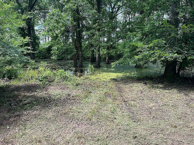 Photo of 11015 Hereford Rd, Mooringsport, LA