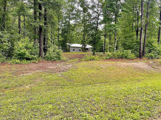 Photo of 911 Middle Rd, Eclectic, AL