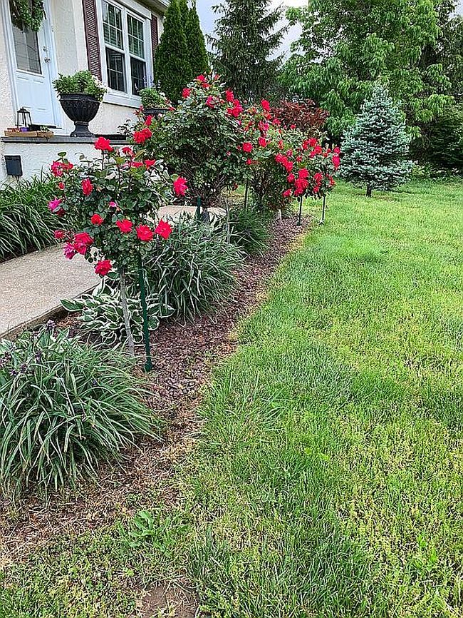 Photo of 4200 Newport Gap Pike, Hockessin, DE