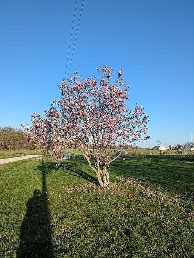 Photo of 14934 Brandon Rd, Windsor, MO