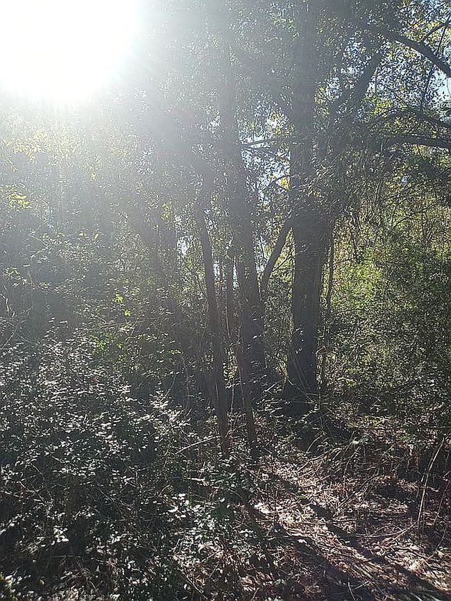 Photo of 24282 Marshburn Dr, Hockley, TX