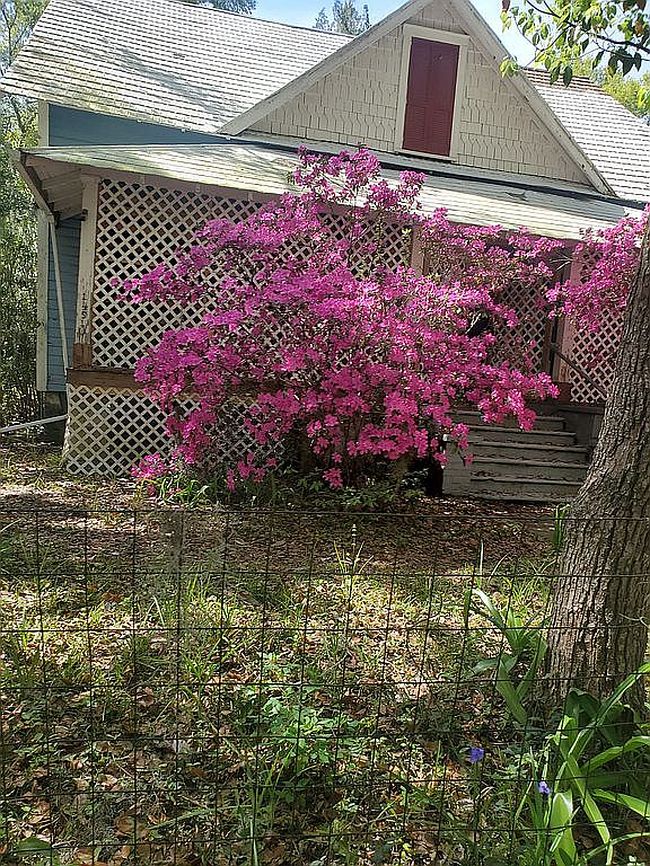 Photo of 146 Terrace, Alachua, FL