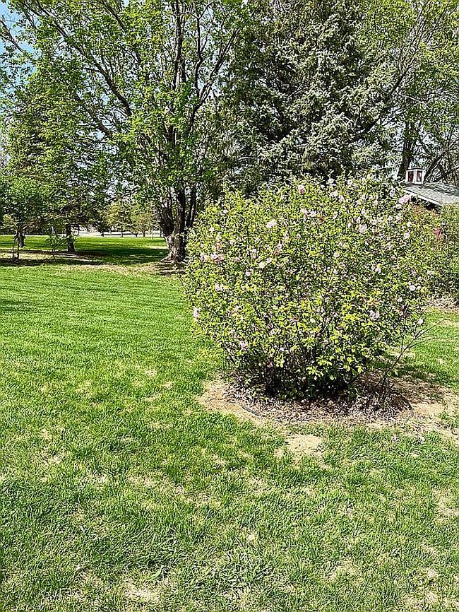 Photo of 416 11th St W, Clear Lake, SD