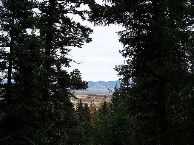 Preview of property located at 0 Bear Rock Trl