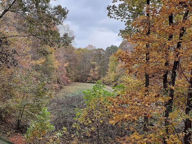 Image of Workman Cemetery Rd