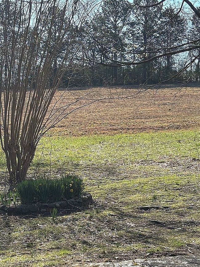 Preview of property located at 3451 Highway 39W