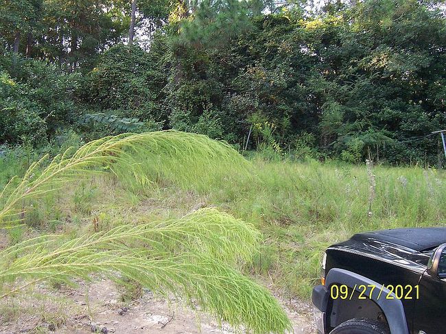 Photo of 8 Sunset Dr, Butler, GA