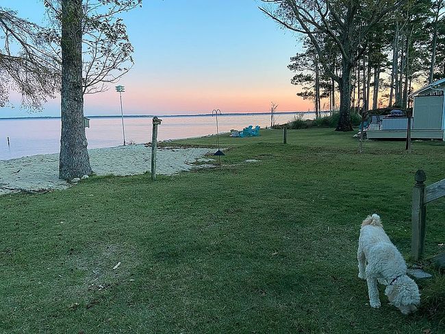 Image of 279 Wiggins Point Rd