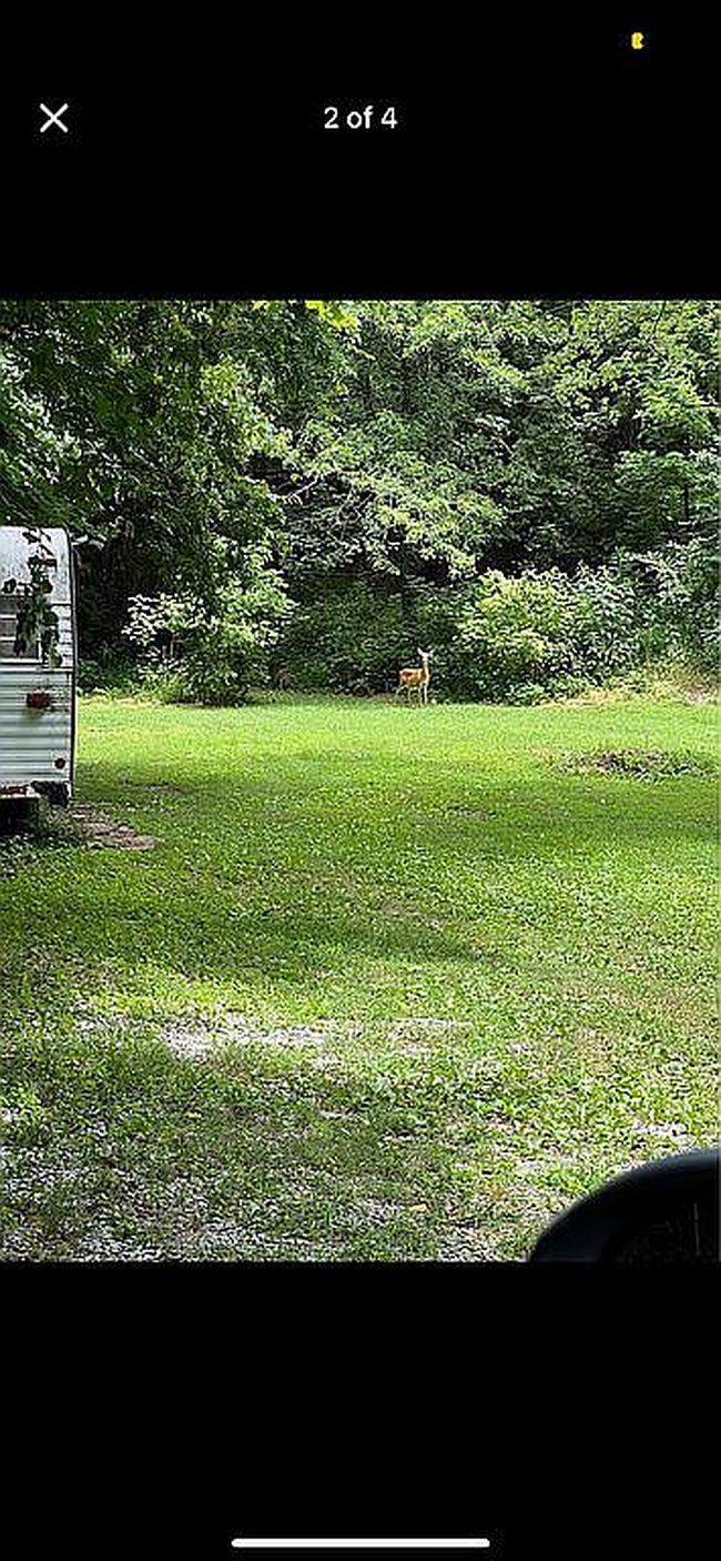 Image of 9219 Kodak Rd