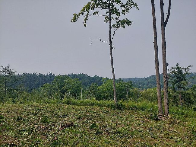 Photo of Lot 19 Aspen Ridge Ct, Boyne City, MI
