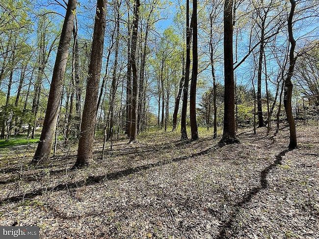Image of 8305 Trumps Hill Rd