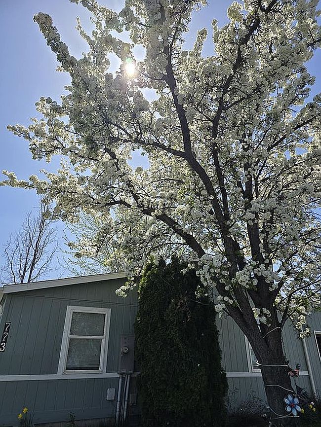 Photo of 773 Liberty Ln, Emmett, ID