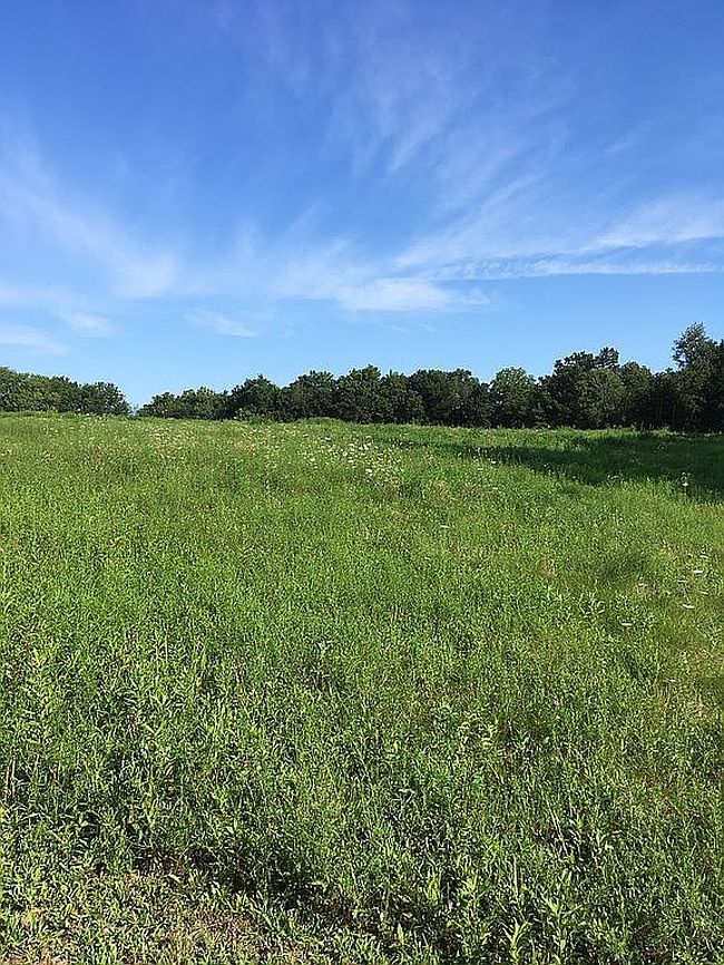 Image of 23566 E Cypress Rd