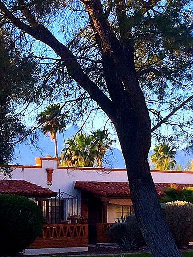 Image of 146 S Paseo Quinta Apt B