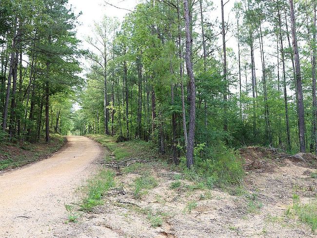 Preview of property located at 320 Fleming Rd