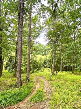 Photo of 2620 Deer Lodge Hwy, Deer Lodge, TN