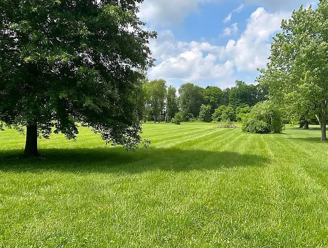 Photo of Cleveland Dr, Bowling Green, KY