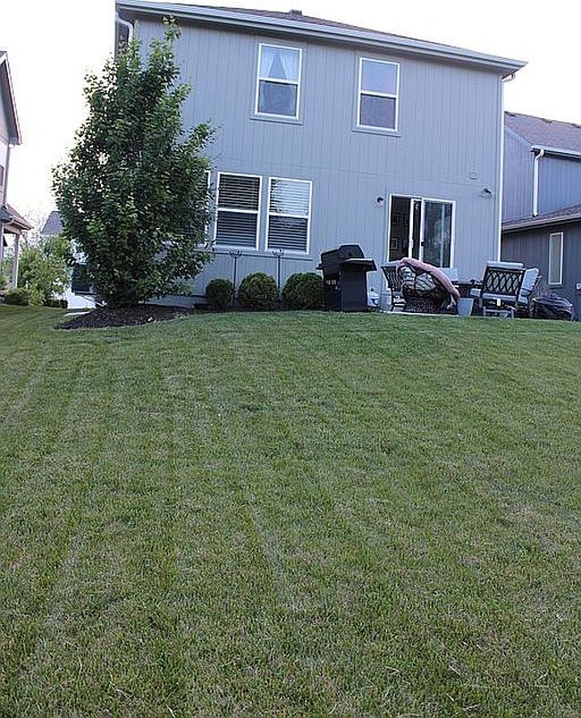 Image of 1409 Newport Ln
