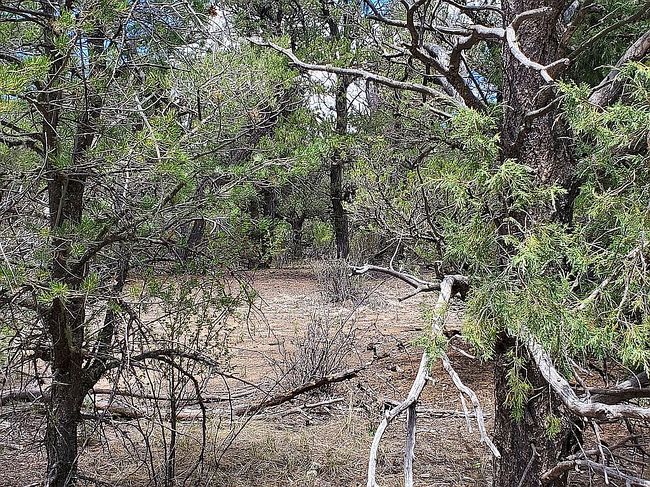 Photo of Parcel 76004520 15th Trl, Cotopaxi, CO