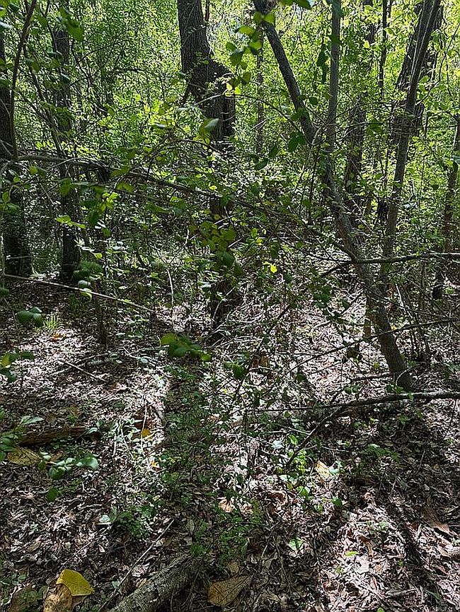 Image of 0 Off Hwy #341