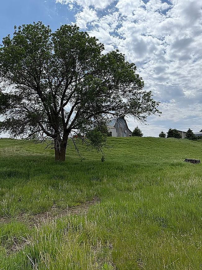 Image of 609 Road P
