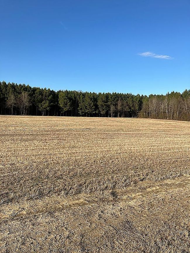 Photo of 2075 Harris Ridge Rd, Winterville, NC