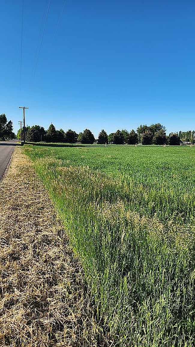 Photo of 1245 N 1100 E, Shelley, ID