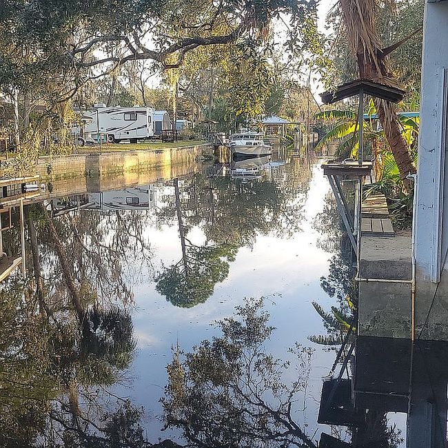 Image of 7/9 Magnolia Ave