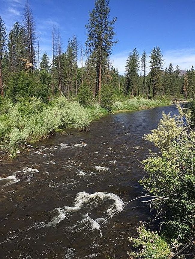Image of 251 E Sanpoil Rd