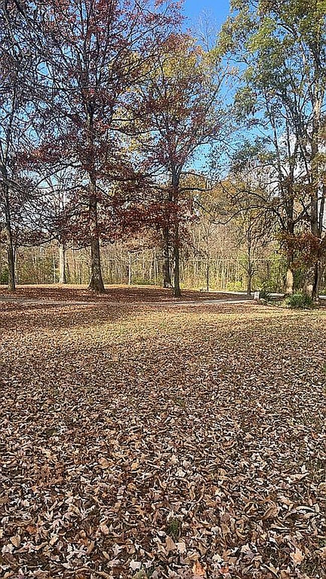 Image of 129 Country Squire Ln