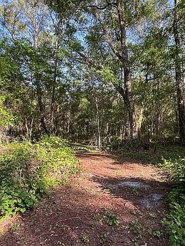 Photo of 0 County Road 209 S, Green Cove Springs, FL