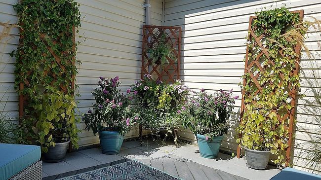 Photo of 102 Strayer Dr, Carlisle, PA