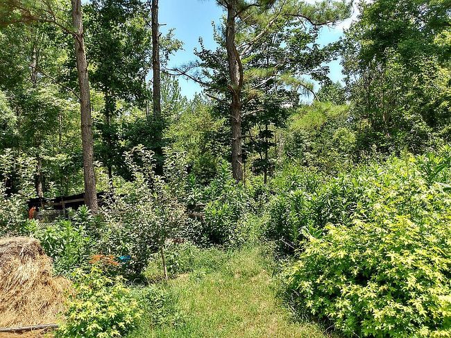 Image of 1660 Kilgore Bridge Rd