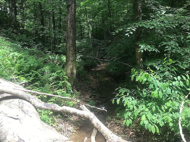 Photo of 5368 Cross Creek Rd, Joelton, TN