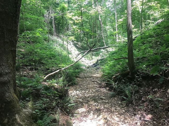 Photo of 5368 Cross Creek Rd, Joelton, TN