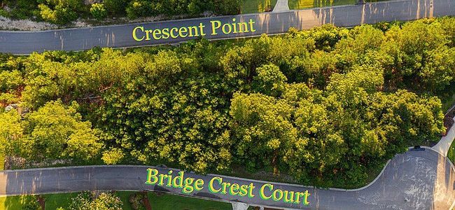 Image of 175 Bridge Crest Ct