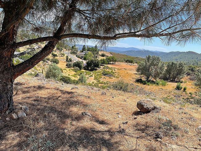 Image of 10691 Sunset Ridge Dr