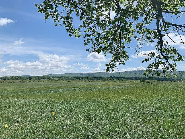 Photo of 96 Brook Trout Way, Davis, WV