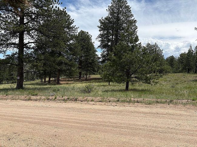 Photo of 188 Zuni Trl, Westcliffe, CO
