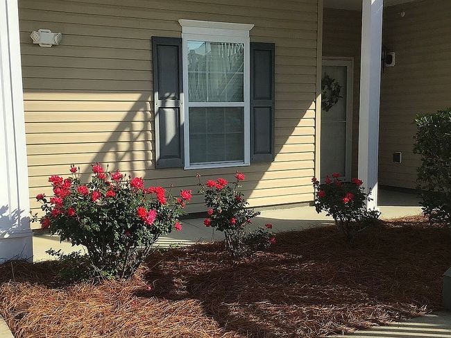 Photo of 822 Sail Ln Unit 103
