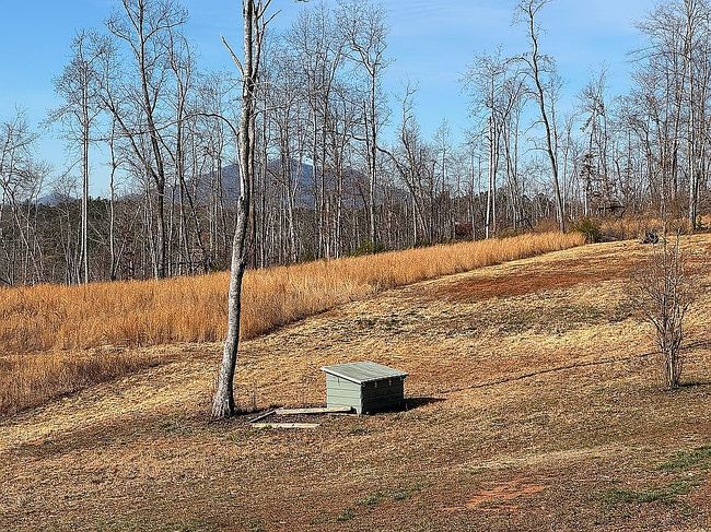 Image of 11550 Highway 108
