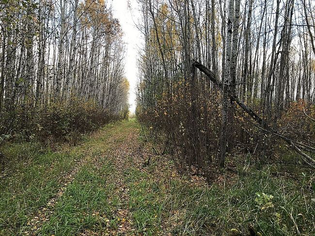 Image of 10187 Highway 65