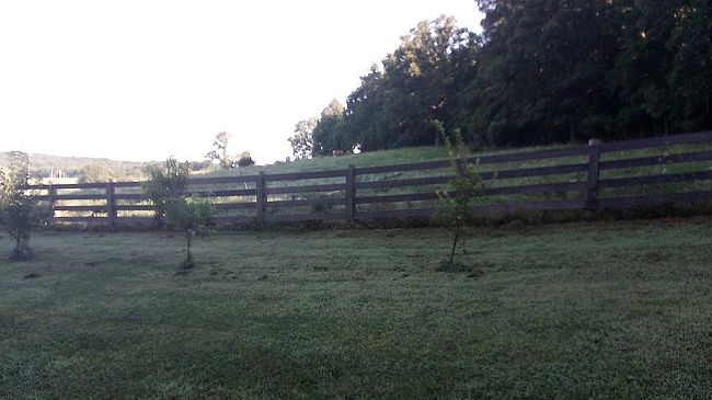 Photo of 36711 County Road 364B, Salem, MO