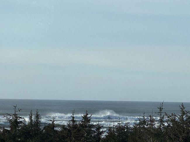 2815 Willows Rd #118, Seaview, WA