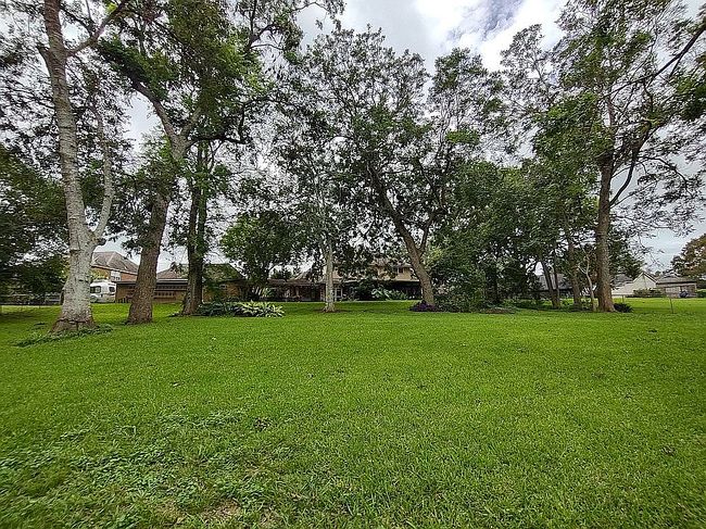 Image of 71 Rosewood St