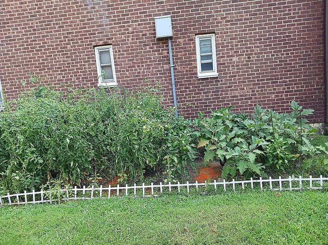 Image of 6019 Marathon Pkwy #2